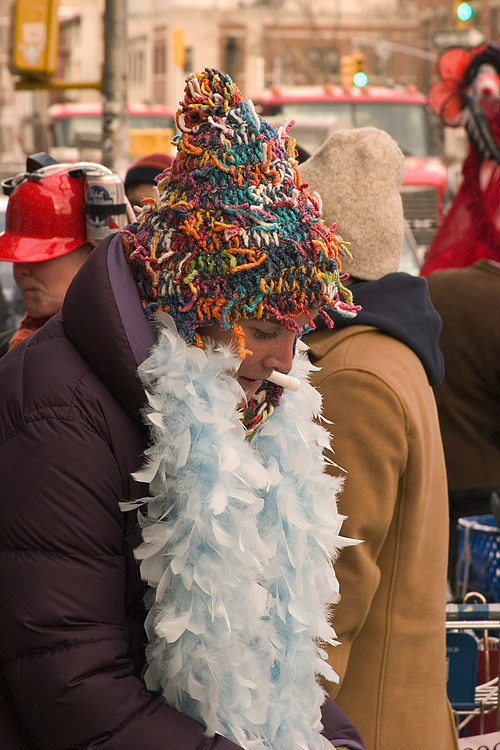 Idiotarod