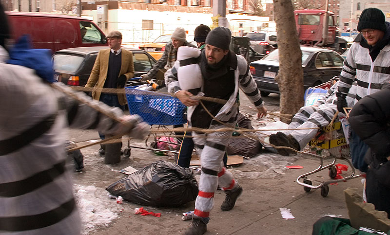 Idiotarod